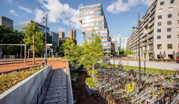 Foto van Rotterdam met op de voorgrond fietsenstallingen en bomen en op de achtergrond gebouwen