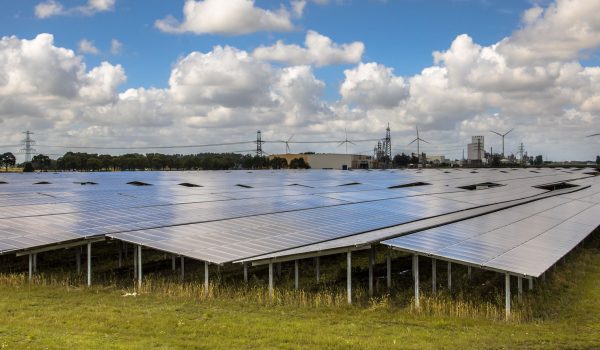 Veld met zonnepanelen met op de achtergrond windmolens