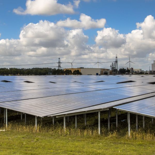 Veld met zonnepanelen met op de achtergrond windmolens